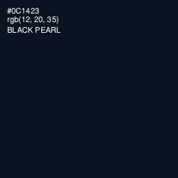 #0C1423 - Black Pearl Color Image